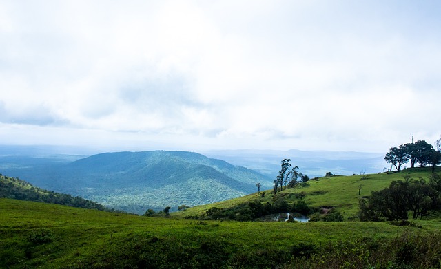 扰山东泰山